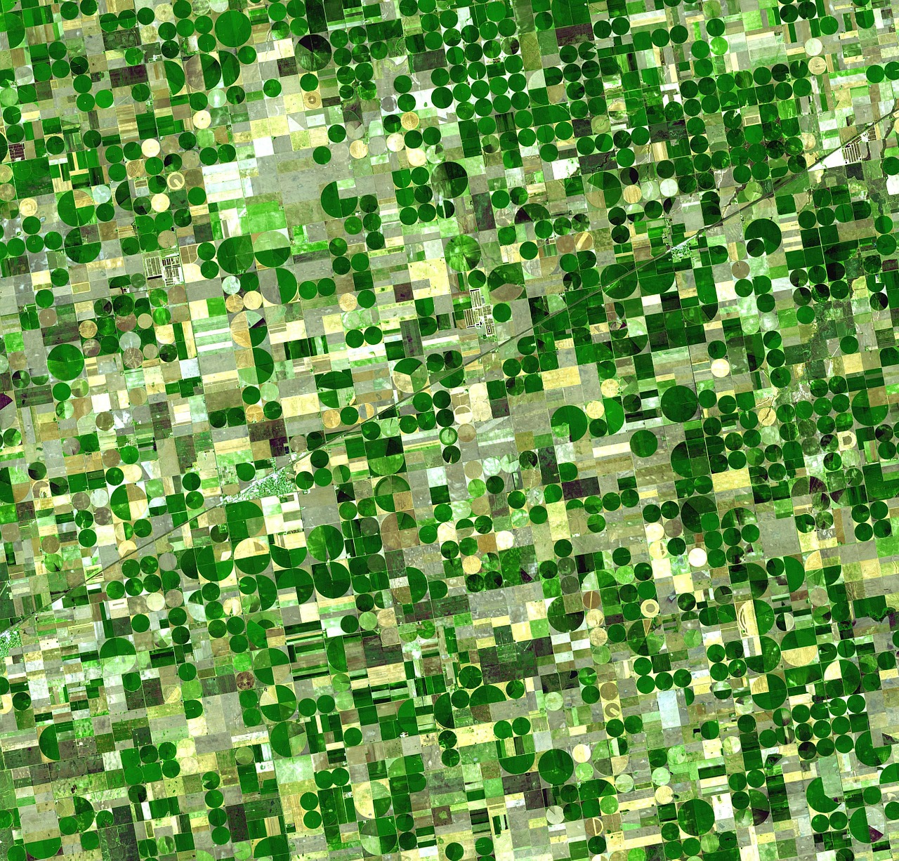 Patterns of argiculture seen from above, circles and squares in shades of green.